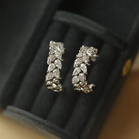 Luxurious Pair of Circular Earrings