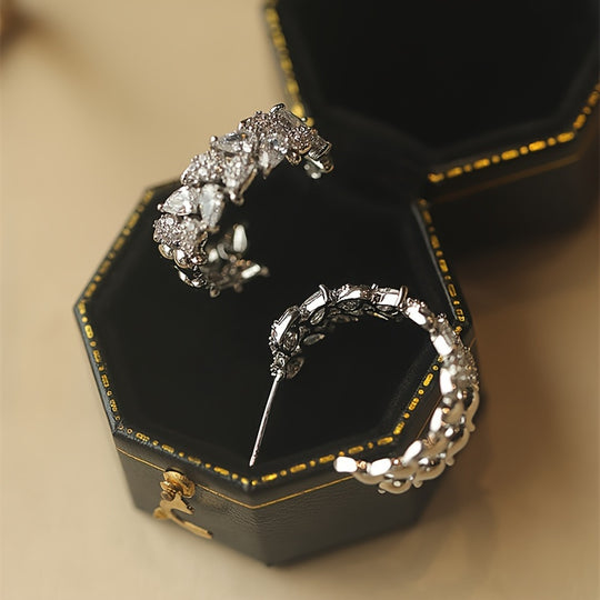 Luxurious Pair of Circular Earrings