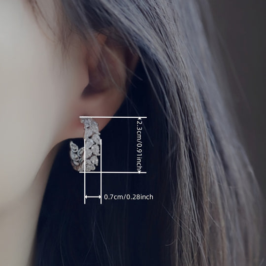 Luxurious Pair of Circular Earrings