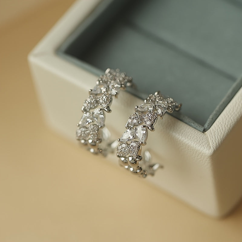 Luxurious Pair of Circular Earrings