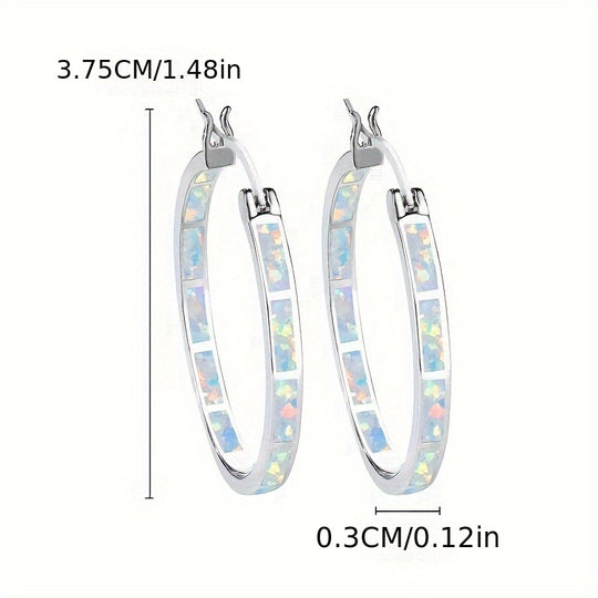 Elegant  Silver Hoop Earrings