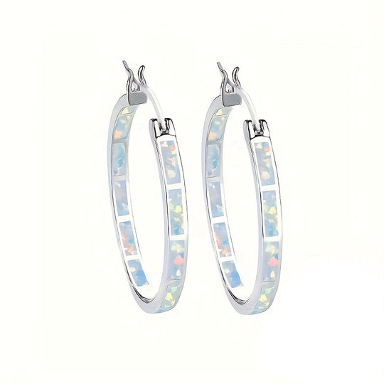 Elegant  Silver Hoop Earrings